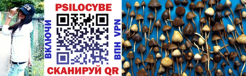 хочу   Усть-Джегута  Галлюциногенные грибы MAGIC MUSHROOMS 